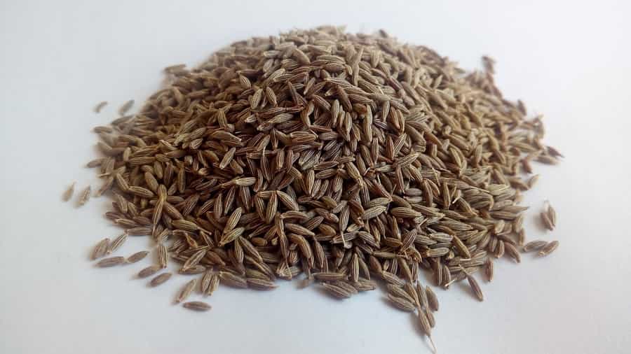 Cumin is considered an important spice due to its heatlh benefits towards digestion, immune system support and having essential minerals